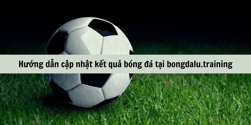 Cập nhật kết quả bongdalu.training